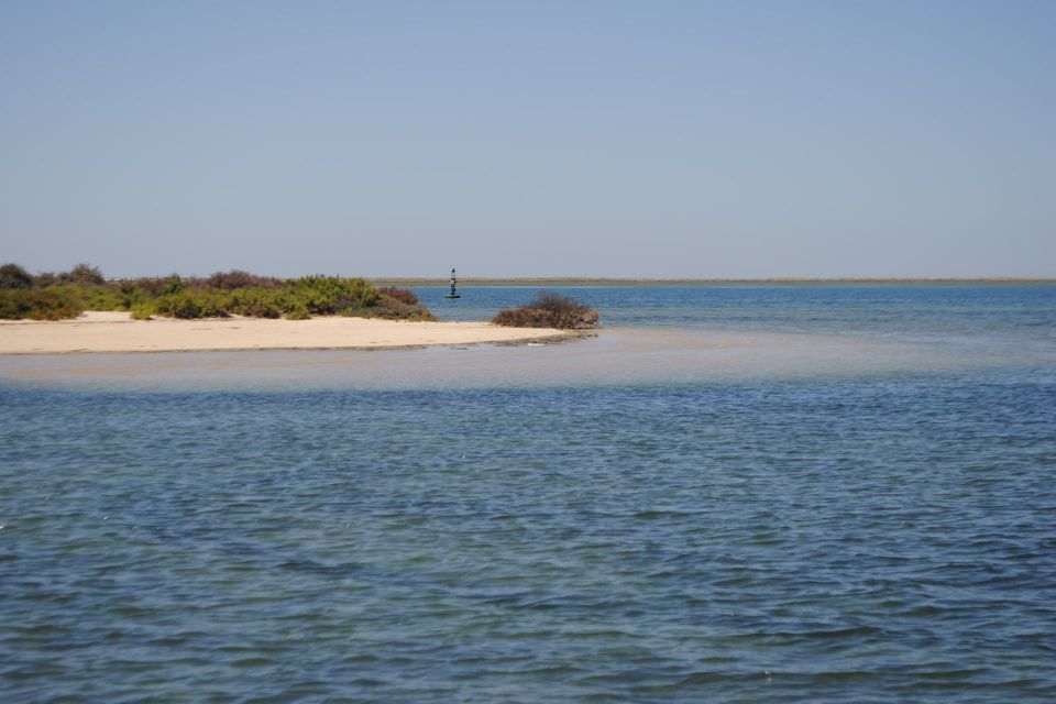 From Faro: Ria Formosa Lagoon Boat Tour With Local Guide - Customer Ratings