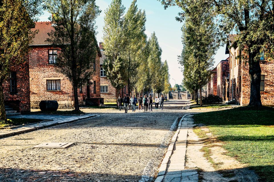 From Krakow: Auschwitz-Birkenau Tour With Transportation - Identification Requirements