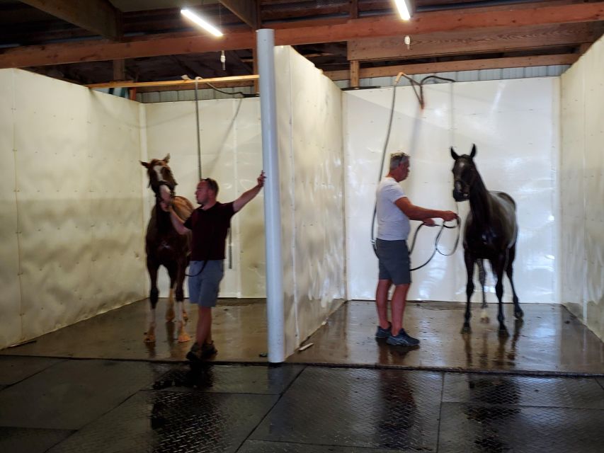 From Lexington: Kentucky Horse Farms Tour - Horse Attractions Visited