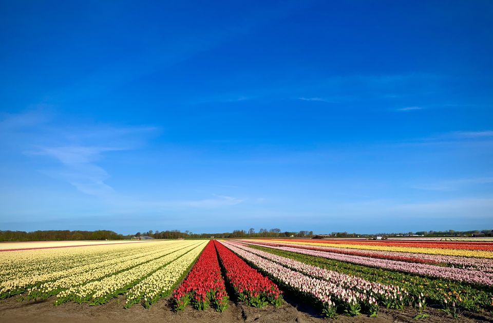 From Lisse: Flower Bike Tour Along Keukenhof and Flowerfarm - Customer Feedback Highlights