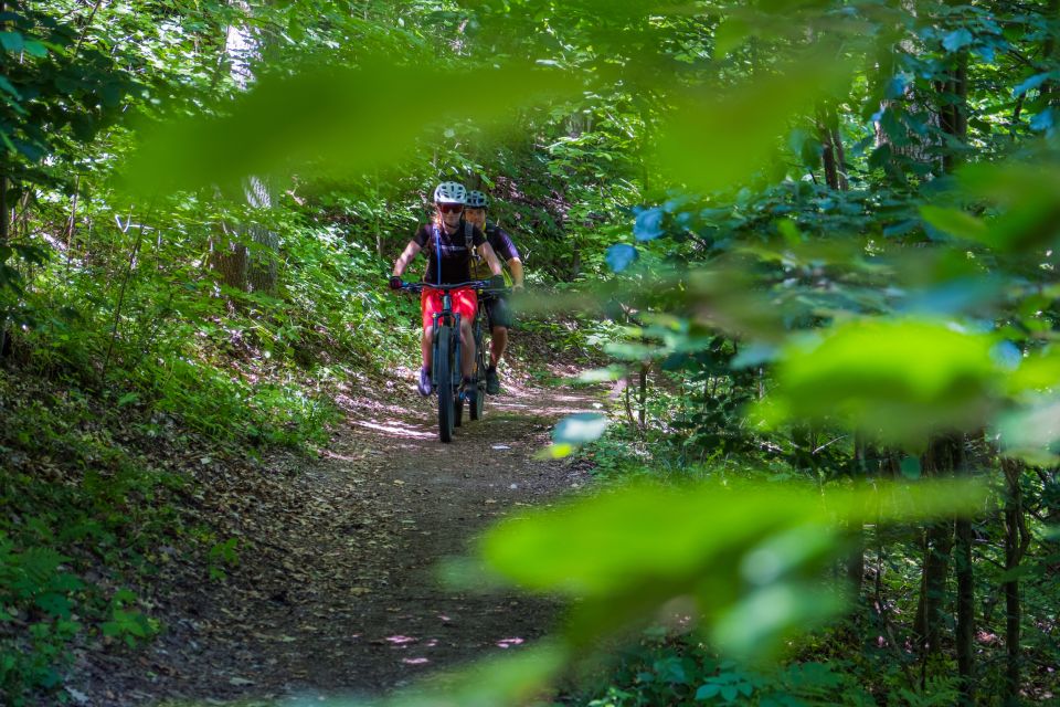 From Prague: E-Mountain Biking Trip to the Bohemian Paradise - Narrow Gorges and Trails