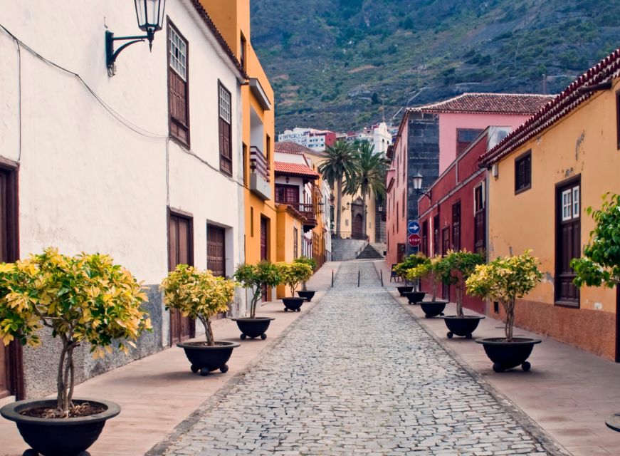 From Santa Cruz De Tenerife: Masca & Garachico Private Trip - Tips for Travelers