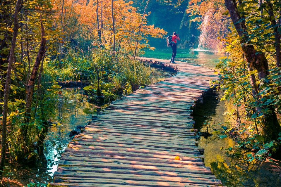 From Split/Trogir: Plitvice Lakes Guided Group Tour - Highlights of the Tour