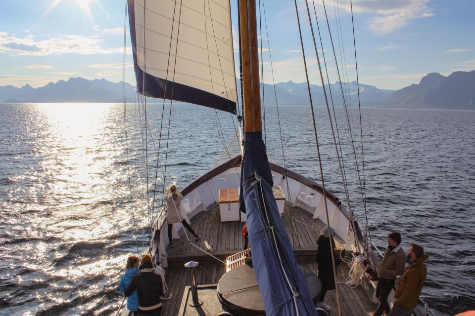 From Svolvær: Lofoten Islands Midnight Sun Luxury Sail - Frequently Asked Questions