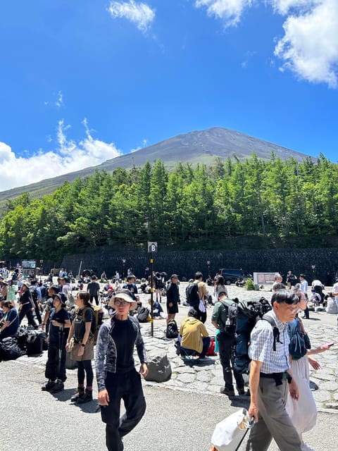 From Tokyo: Mt. Fuji Private Car Day Trip With Guide - Recommendations