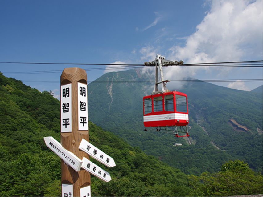 From Tokyo: Nikko UNESCO Shrine and Nature View 1-Day Tour - Customer Feedback and Ratings