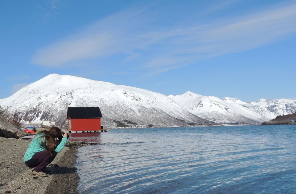 From Tromsø: Kvaløya and Sommarøy Scenic Fjord Day Trip - Cancellation Policy