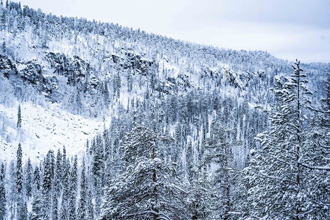 Frozen Waterfalls in Korouoma Canyon Adventure - Capture Stunning Frozen Waterfalls