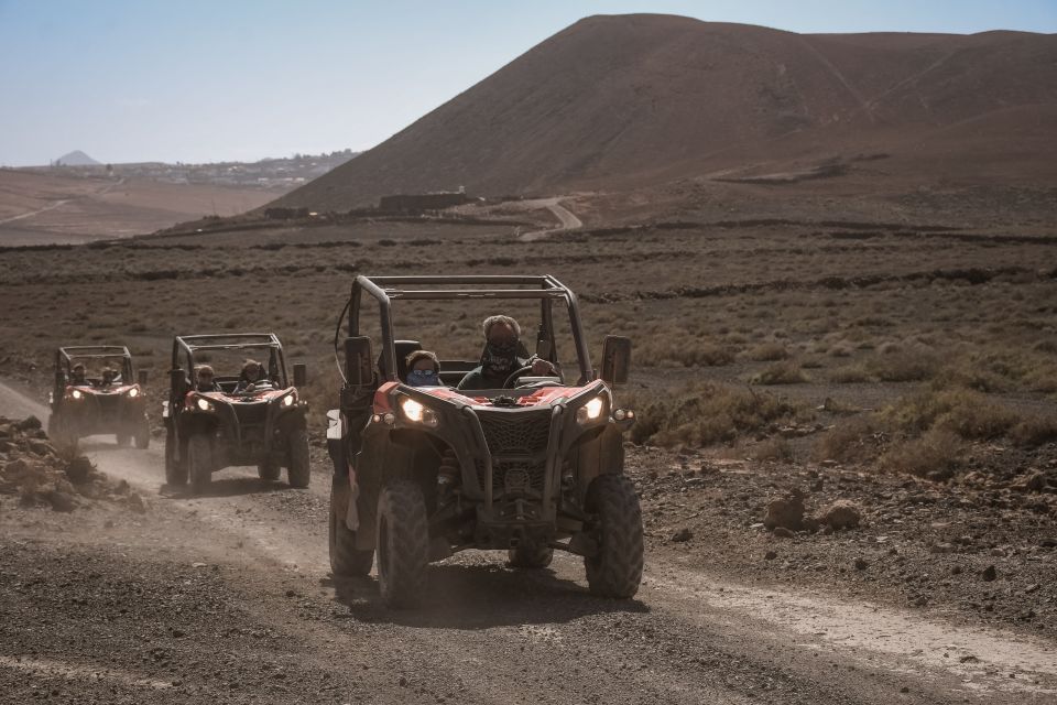 Fuerteventura: Dune Buggy Tour in Northern Fuerteventura - Customer Ratings and Feedback