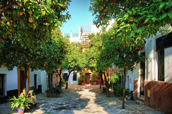 Full Day Seville Tour With Tickets (Optional Tapas & Flamenco) - Additional Tour Information