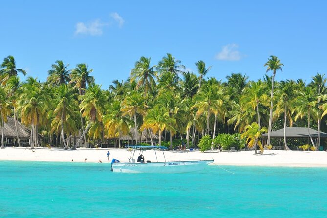 Full Day Tour to Saona Island by Catamaran From Cabeza De Toro - Catamaran Ride