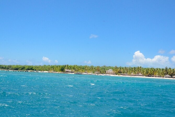 Full-Day Tour To Saona Island From Punta Cana All Included - What to Bring