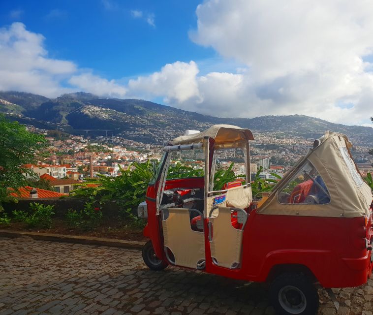 Funchal: Guided City Tuk-Tuk Tour - Tour Pricing and Availability