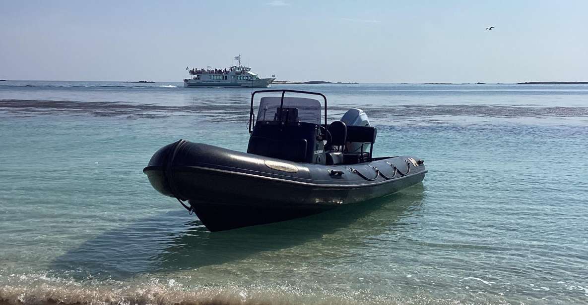 Glénan Islands Discovery, Full or Half Day Privatization - Boat and Sea Experience