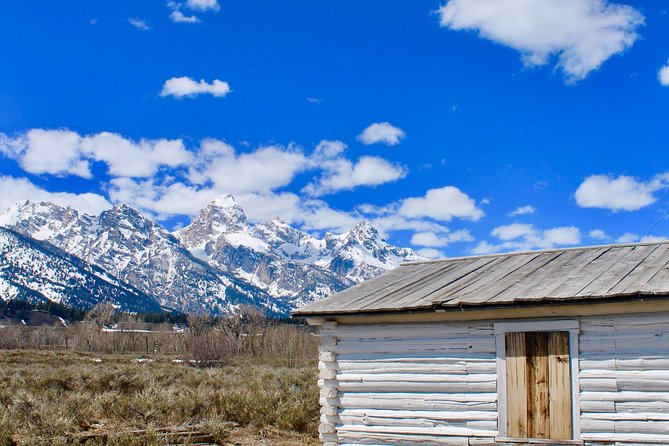 Grand Teton Half Day Tour - Naturalist Guide-Led Experiences