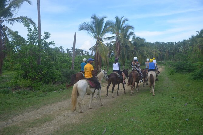 Half Day Buggies and Horseback Experience in Punta Cana - Typical House Visit