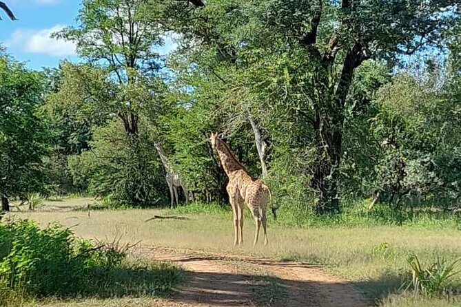 Half-Day Nature Walk in Mosi-Oa-Tunya National Park From Livingstone - Activity Duration