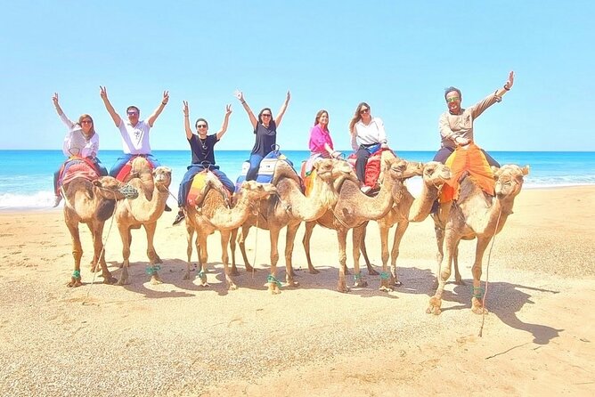 Half Day Private Custom Tour in Tangier Including Camel Ride - Kasbah and Medina