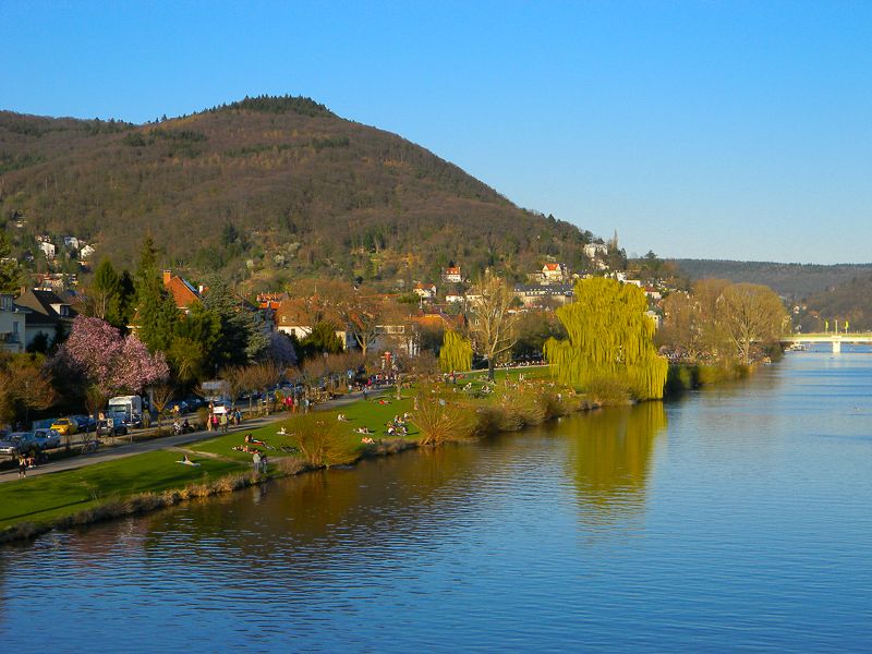 Heidelberg: City of Romance 2-Hour Walking Tour - Whats Included in the Tour