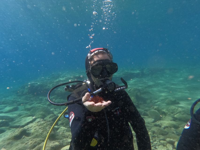 Heraklion: Beginners Intro Dive W/2 Dives With Transfer. - Pickup and Transfer Details