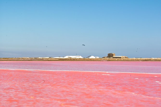 Highlights of Walvis Bay Guided 1/2 Day Tour (Shore Excursion) - Group Sizes