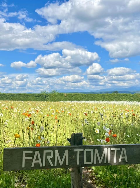 Hokkaido: Biei Furano One-Day Tour (Lunch&Melons Option) - Meeting Point and Starting Location