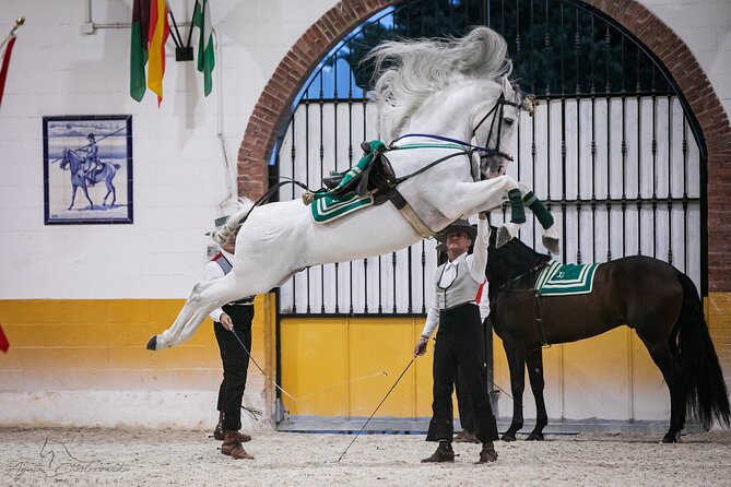 Horse and Flamenco Show in Malaga With Dinner - Transportation and Directions