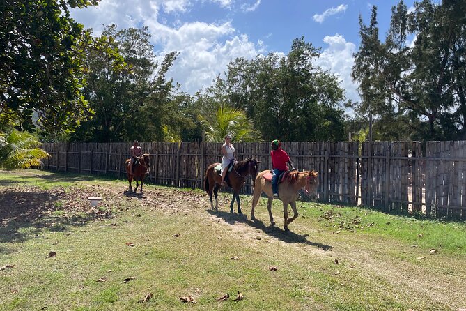 Horseback Ride and Swim Tour In Montego Bay - Schedule and Itinerary