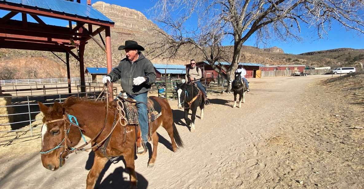 Horseback Ride Thru Joshua Tree Forest With Buffalo & Lunch - Cancellation Policy Details