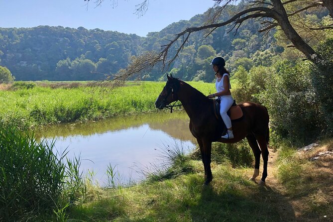 Horseback Riding in Cala Mitjana, Menorca, Spain - Suitable for Beginners and Families