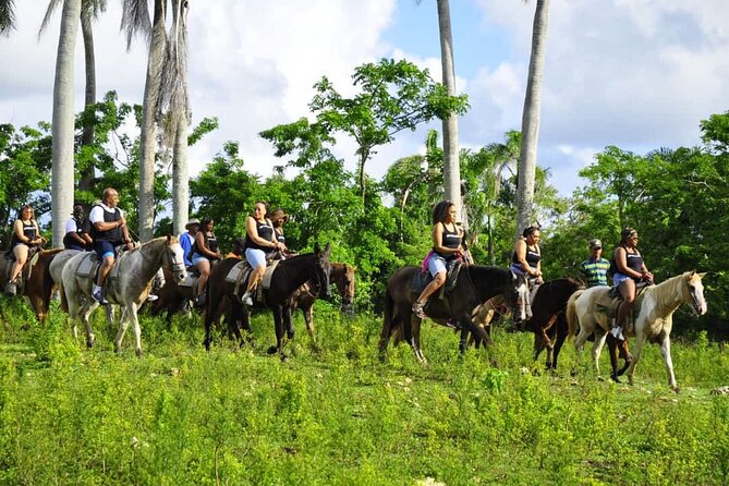 Horseback Riding in the Dominican Jungle - Getting There