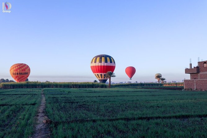 Hot Air Balloon Tour in Luxor - Operator and Reputation