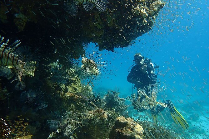 Intro Diving 2 Stops for Beginners With Pick-Up and Lunch - Hurghada - Beginner Diving Instruction