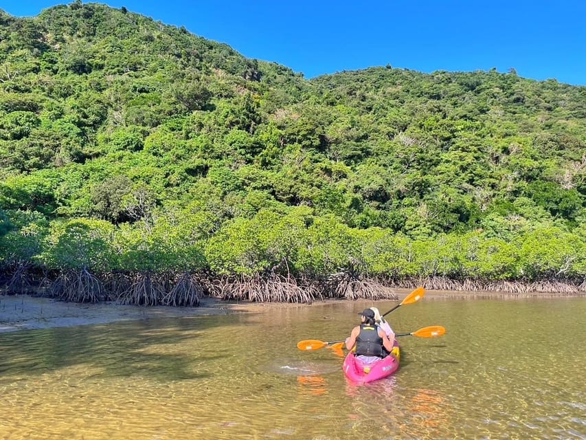 Iriomote Island Kayaking and Snorkeling Tour Review - Booking and Cancellation