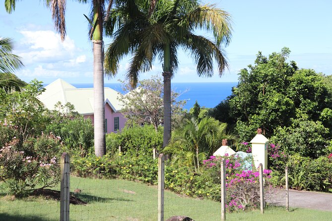 Island of Nevis Tour - Nevis Hot Springs