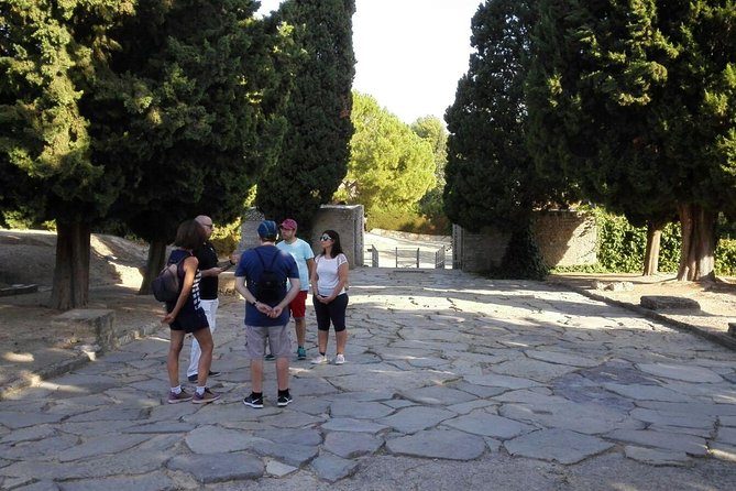 Italica 2-Hour Private Guided Tour From Seville - Birthplace of Roman Emperors