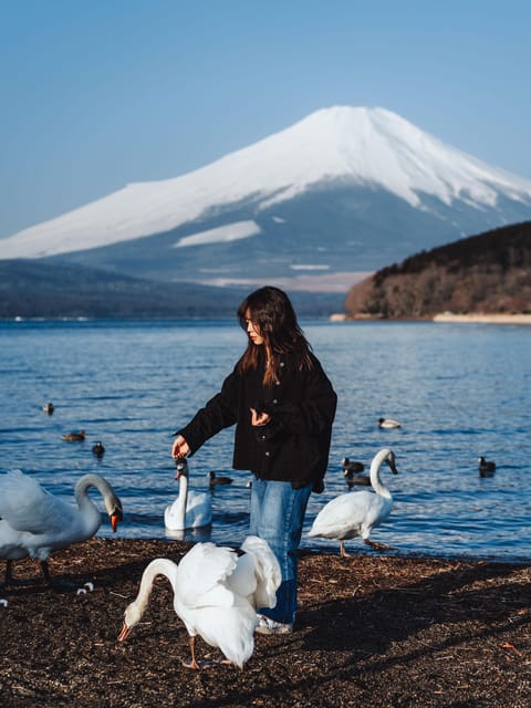 Japan Photography Tour Review: Capture Iconic Views - Photography Expertise