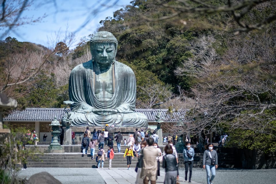 Kamakura & Enoshima Tour Review - Starting Location and Transport