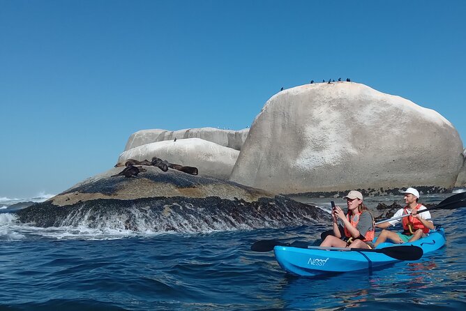 Kayak Adventure at Clifton Beach - What to Expect on the Adventure