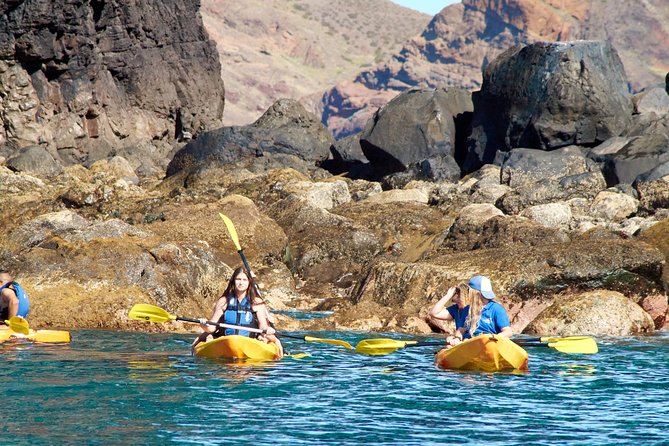 Kayak Experience @ Ponta De São Lourenço - Cancellation Policy and Refund Options