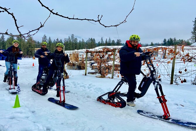 Kelowna Snow E-Biking Adventure With Lunch, Wine Tasting & Smores - Meadow Vista Smores