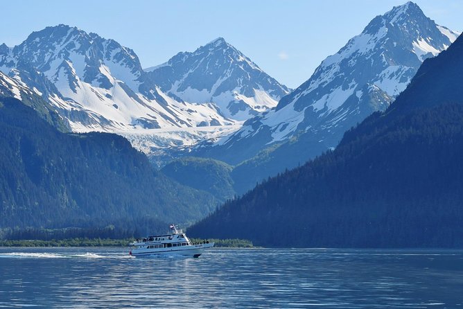 Kenai Fjords and Resurrection Bay Half-Day Wildlife Cruise - Guest Experience and Ratings