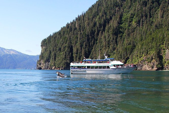 Kenai Fjords National Park Cruise From Seward - Highlights of the Cruise Journey