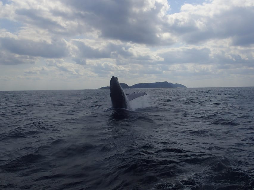 Kerama Islands National Park Experience Review - Highlights of the Tour