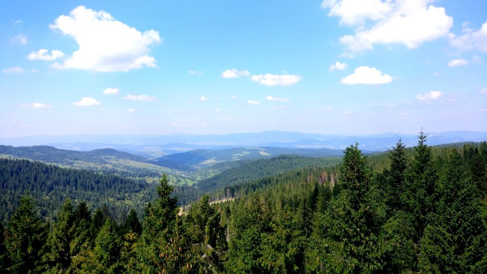 Krakow: Slovakia Treetop Walk and Thermal Baths Small Group - Treetop Walk and Observation Tower