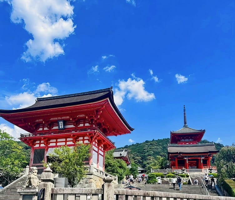 Kyoto: Customized One Day Car Tour - Important Tour Information to Note