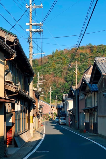 Kyoto/Osaka: Kyoto White Sandbar,Ines Boat Houses Day Trip - Optional Activities