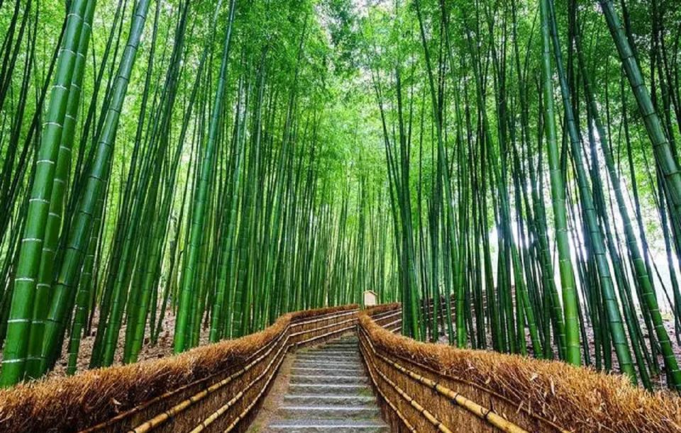 Kyoto/Osaka: Sanzenin, Bamboo Forest, & Arashiyama Day Trip - Transportation and Meeting Points