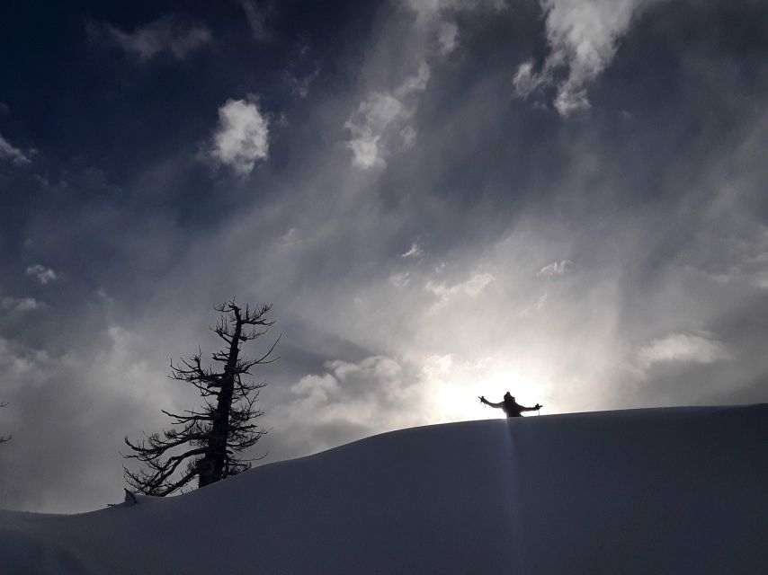 Lake Tahoe: Snowshoeing Guided Tour - About the Tour Guide