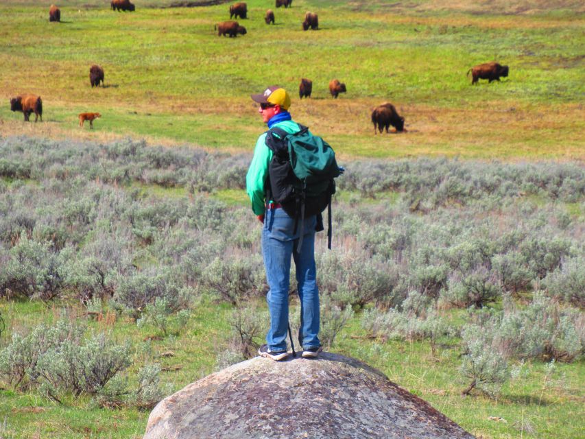 Lamar Valley: Safari Hiking Tour With Lunch - Gear and Essentials